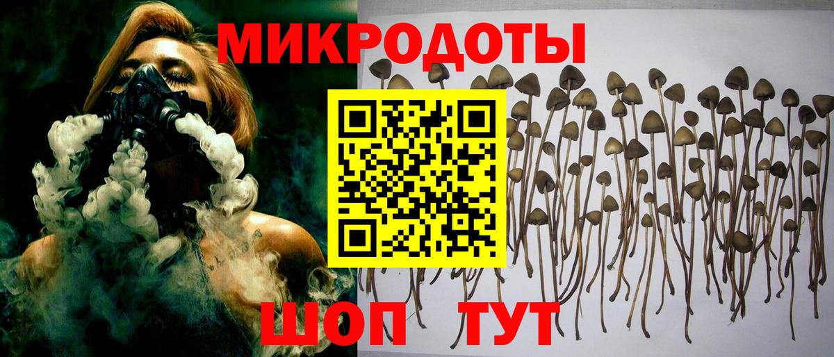 Выкса  Галлюциногенные грибы Magic Shrooms  где продают наркотики  Вход с VPN 